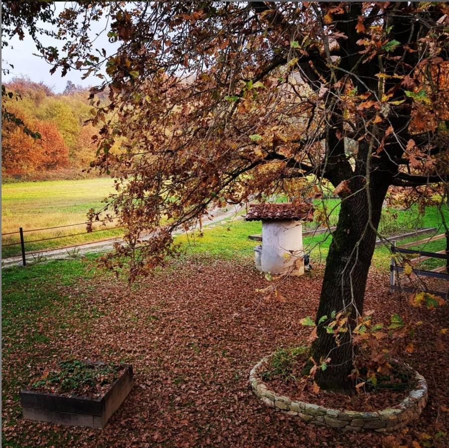 Cameloth B&B Settimo Rottaro Kültér fotó